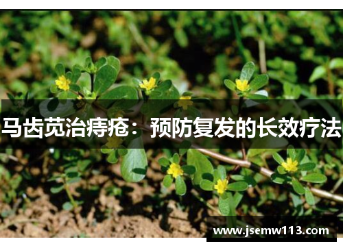 马齿苋治痔疮：预防复发的长效疗法