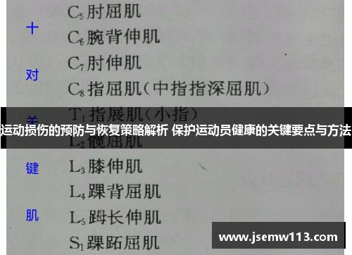 运动损伤的预防与恢复策略解析 保护运动员健康的关键要点与方法